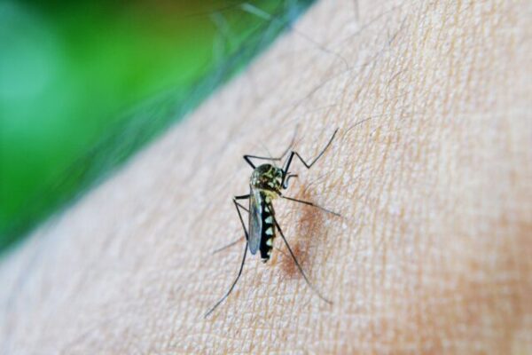 Dengue: Habilitan en la Ciudad 18 unidades de atención febriles