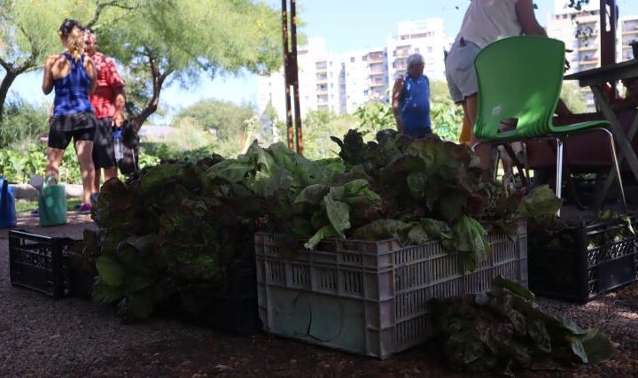 Conectarse con la naturaleza para mejorar la Ciudad